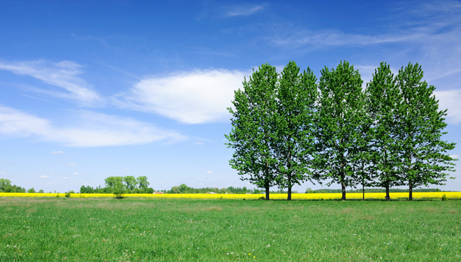 Environment, Green, Recycling